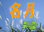 名月号