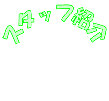 スタッフ紹介