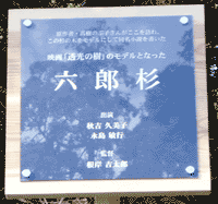 六郎杉
