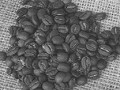 コーヒー豆
